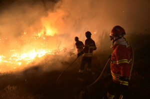 Incêndio em S. João do Monte no concelho de Nelas